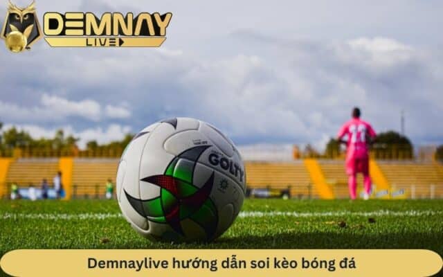 Demnaylive chia sẻ bí quyết soi kèo bóng đá