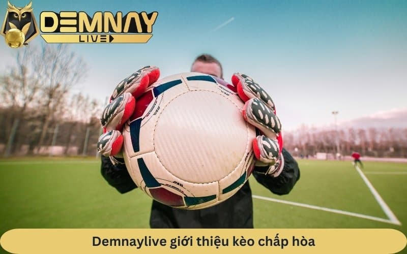 Demnaylive hướng dẫn chơi kèo chấp hòa