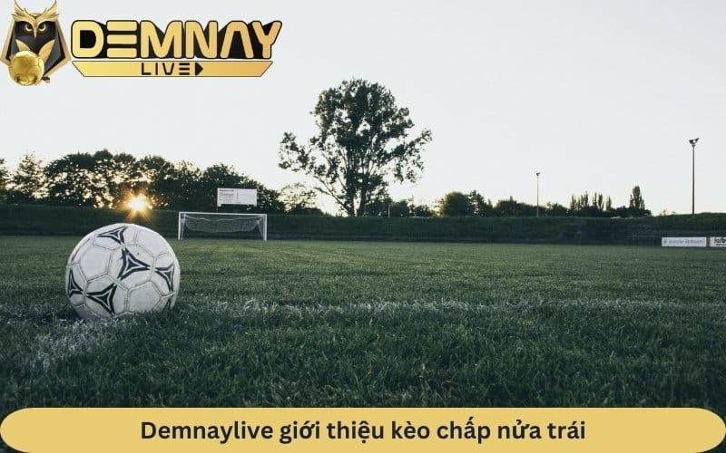 Demnaylive hướng dẫn cách chơi kèo chấp nửa trái