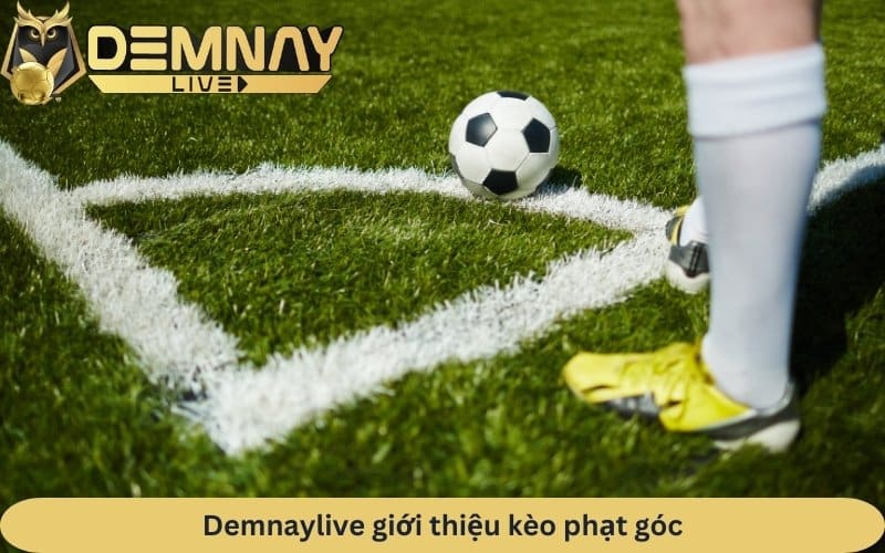 Demnaylive giới thiệu kèo phạt góc