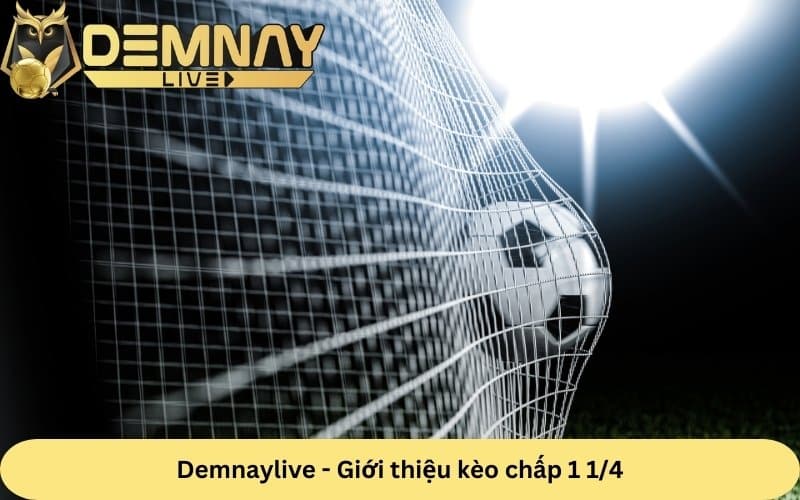 Demnay live hướng dẫn chơi kèo chấp 1 1/4 chuẩn