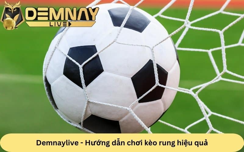 Dem Nay Live hướng dẫn chơi kèo rung hiệu quả