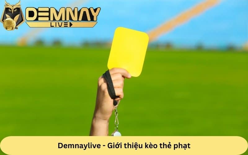 tìm hiểu về kèo thẻ phạt