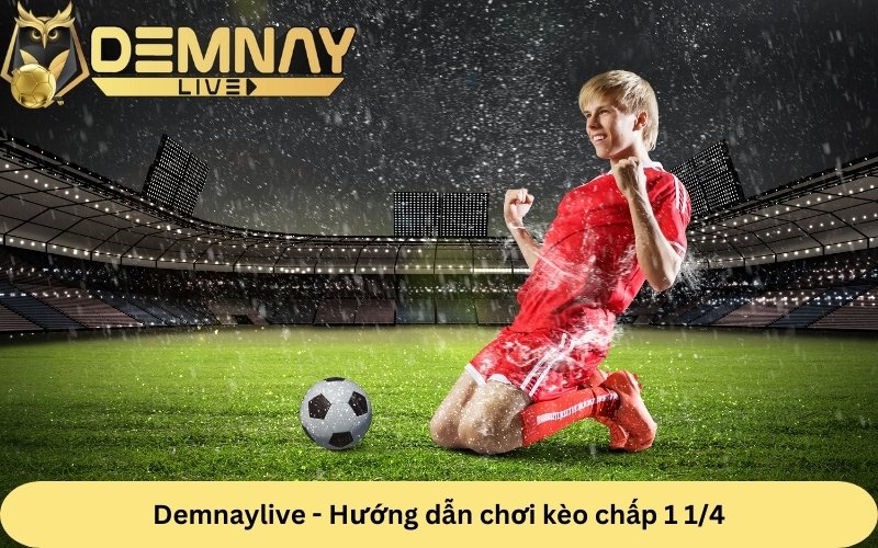 Demnay live chuyên gia nhận định kèo chấp 1 3/4 